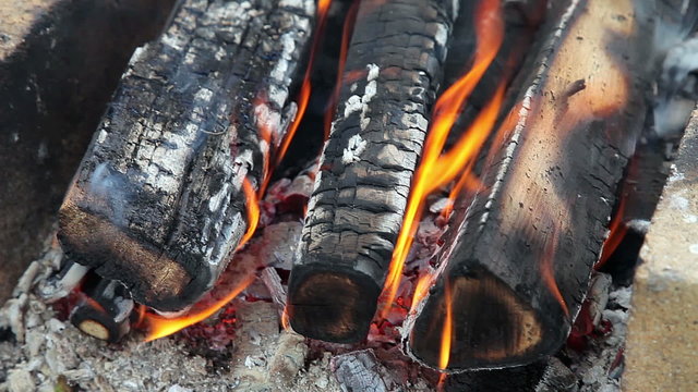 Closeup view of a bonfire flames and burning firewood