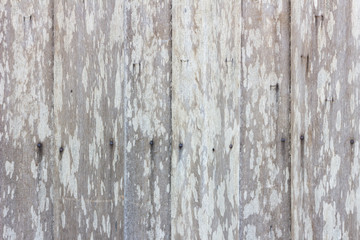 Fototapeta na wymiar grungy gray wood plank wall texture background.