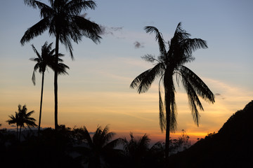Fototapeta na wymiar Sunset on the Cocora valley with giant wax palms near Salento,