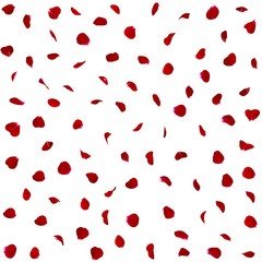Seamless texture of dark red rose petals