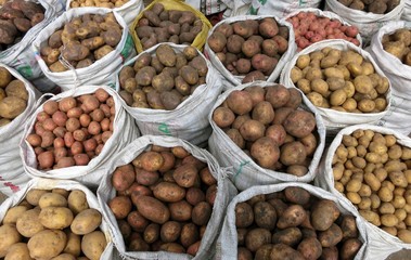 verschiedene Kartoffelsorten auf dem Markt