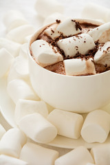 Hot chocolate with marshmallow