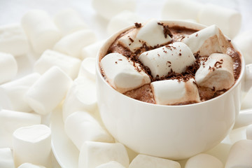 Hot chocolate with marshmallow