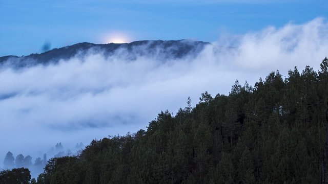 Neblina entre monta&ntilde;as y el bosque acompa&ntilde;ados de la Luna