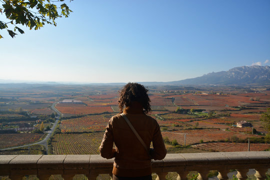 colores de oto&ntilde;o en los vi&ntilde;edos de La Rioja