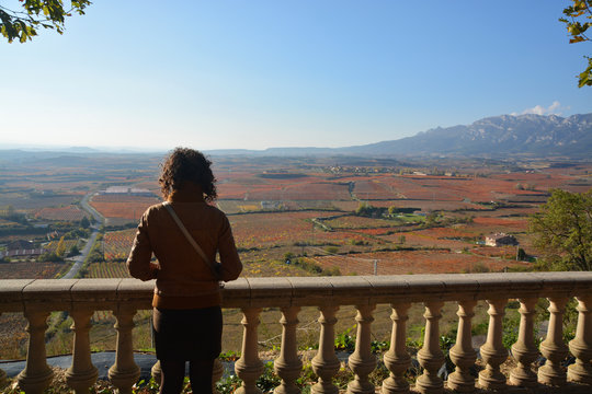 colores de oto&ntilde;o en los vi&ntilde;edos de La Rioja
