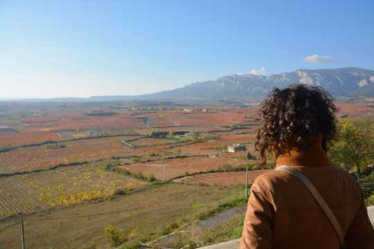 colores de oto&ntilde;o en los vi&ntilde;edos de La Rioja