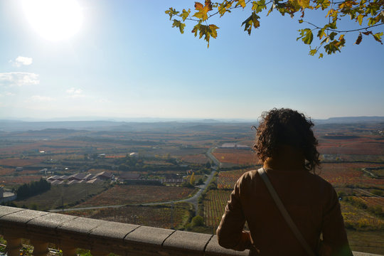 colores de oto&ntilde;o en los vi&ntilde;edos de La Rioja