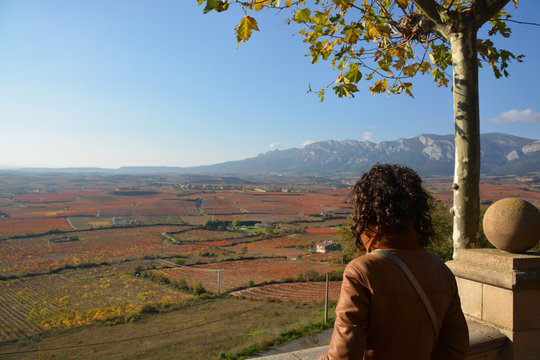 vi&ntilde;edos de La Rioja en oto&ntilde;o