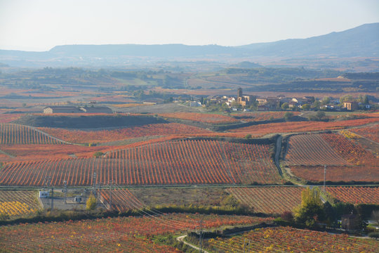 colores de oto&ntilde;o en los vi&ntilde;edos de La Rioja