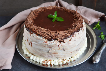 Chocolate cake with cream 