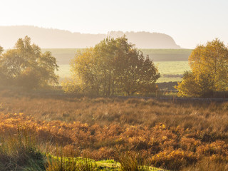 Obraz premium Autumn colours at White Copice, Lancashire, UK