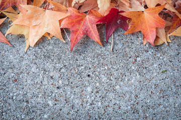 autumn leaf on concrete floor
