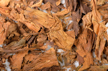 dry shredded tobacco on the white