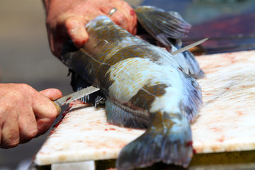préparation des filets de poisson