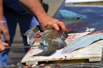 nettoyage du poisson