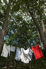 Laundry hanging between trees