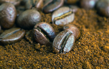 Coffee beans coffee beans
