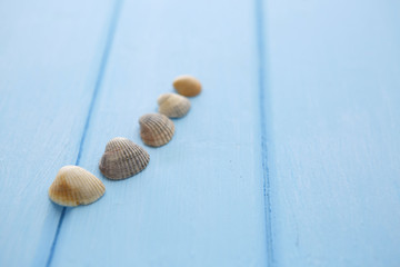 Border pattern of white sea shells on blue wooden table