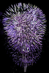 Fireworks large concentration of colors purple cone