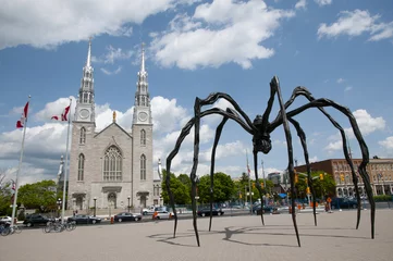 No drill blackout roller blinds Historic monument Spider Statue - Ottawa - Canada