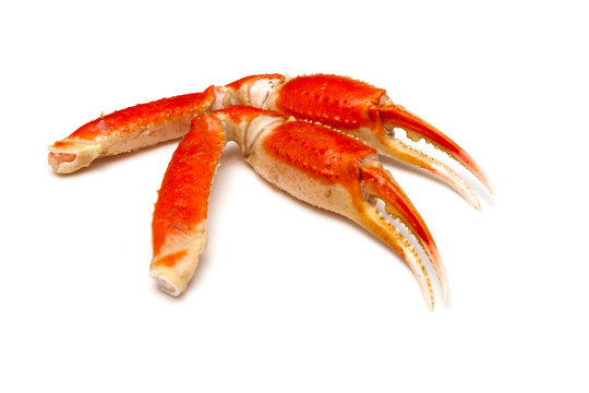 Snow Crab (Chionoecetes Opilio) Or Tanner Crab Clusters Isolated On A White Studio Background.