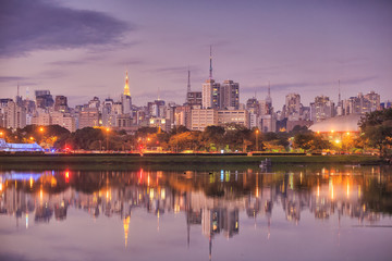 Fototapeta na wymiar Sao Paulo skyline from Parque Ibirapuera park