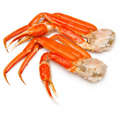 Snow crab (Chionoecetes opilio) or Tanner crab  - obrazy, fototapety, plakaty