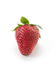 fresh strawberry