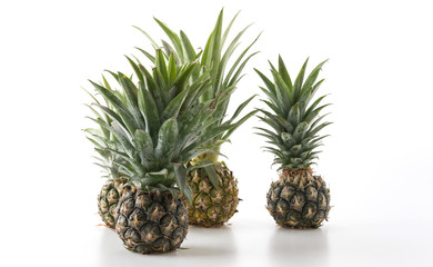 Fototapeta premium fresh pineapple