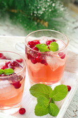 Alcohol cocktail with cranberries, vodka and ice