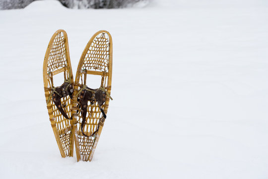 Snow shoes