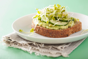 healthy avocado toast with cucumber radish sprouts