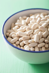 raw haricot legumes cannellini beans in bowl
