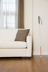 Walking stick in a living room