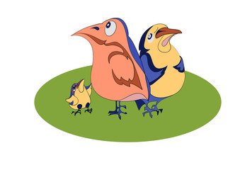 Three comical birds