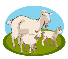 Obraz premium Goat and her kids