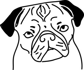 Pug vector