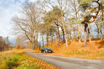 Obraz premium Parking under autumnal trees by the roadside