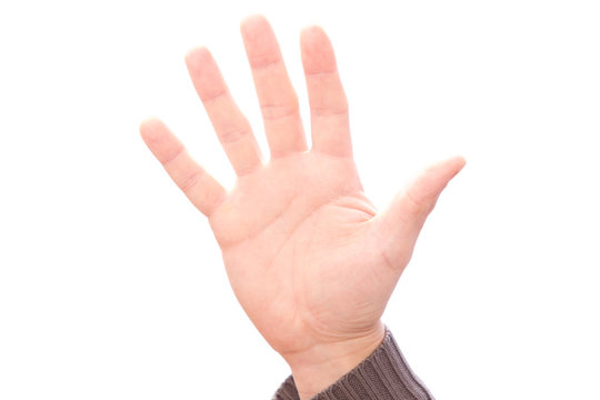 Hand zeigt 5 Finger , Handfläche