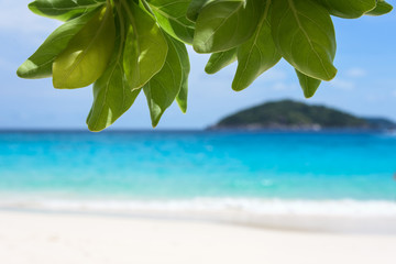 Fototapeta na wymiar Beautiful landscapes blue sea beach and island blur for background under the shade of green leaves in summer at Koh Miang island, Mu Ko Similan National Park, Phang Nga Province, Thailand