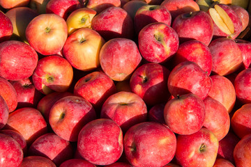 A lot of fresh persimmon
