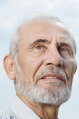 Portrait of a senior man