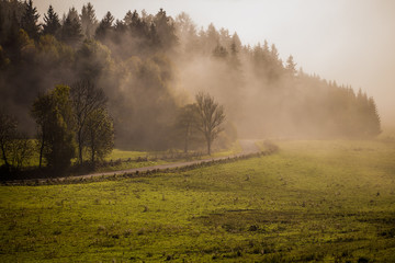Early fogy autumn morning on the Czech Austrian border