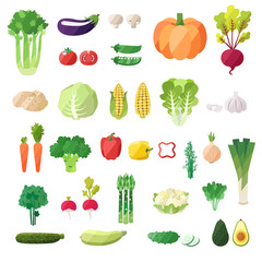 Vegetable vector set. Modern flat design. Isolated objects. Vegetable icons.
