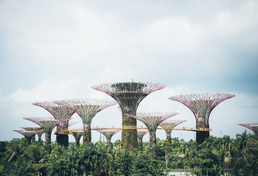 supertree grove in garden by the bay - singapore