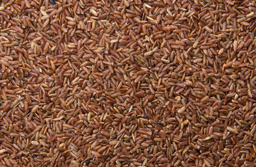 Red Rice background image