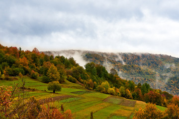 Mountain landscape with clouds and colorful trees