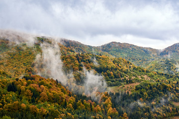 Mountain landscape with clouds and colorful trees