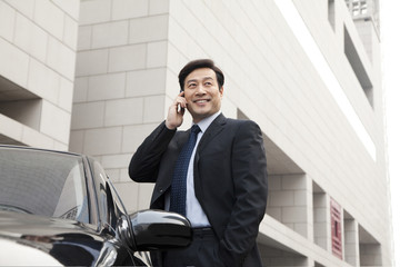 businessman making phone call beside the car